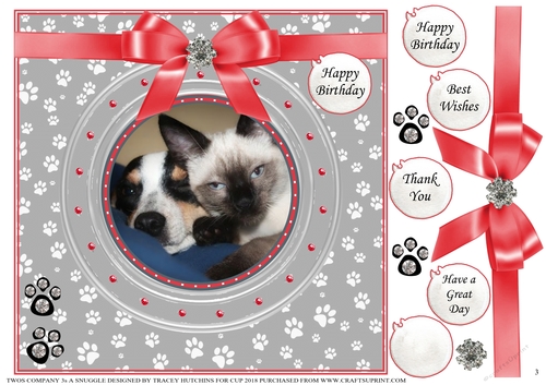 TWOS COMPANY  3s A SNUGGLE MULTI SENTIMENT 3 INK SAVING