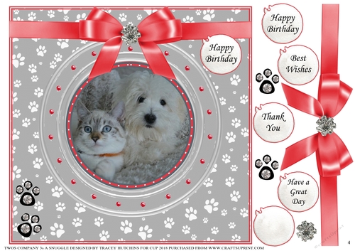 TWOS COMPANY  3s A SNUGGLE MULTI SENTIMENT 4 INK SAVING
