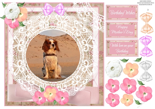 SHABBY CHIC BIRTHDAY / MOTHERS DAY 3