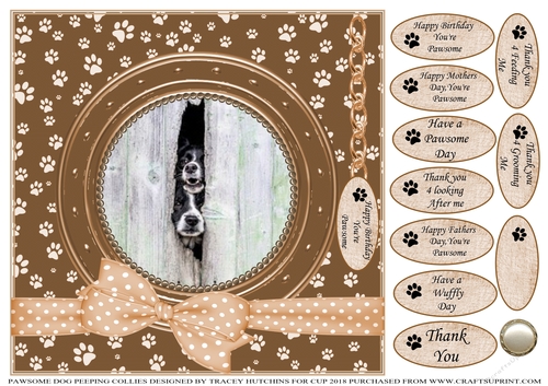 PAWSOME PEEPING COLLIES BIRTHDAY AND NUMEROUS OTHER SENTIMENTS