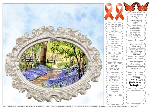 MULTIPLE SCLEROSIS MS AWARENESS & RESEARCH CHARITY MULTI SENTIMENTS & QUOTES 4