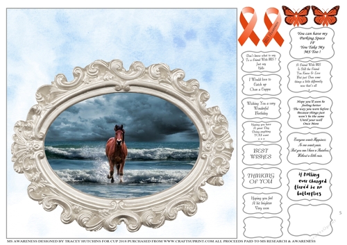 MULTIPLE SCLEROSIS MS AWARENESS & RESEARCH CHARITY MULTI SENTIMENTS & QUOTES 5