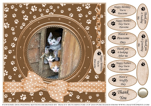 PAWSOME PEEPING KITTENS BIRTHDAY AND NUMEROUS OTHER SENTIMENTS