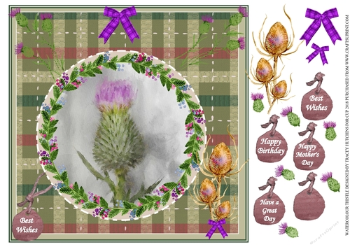 WATERCOLOUR THISTLE UNISEX BIRTHDAY AND NUMEROUS OTHER SENTIMENTS