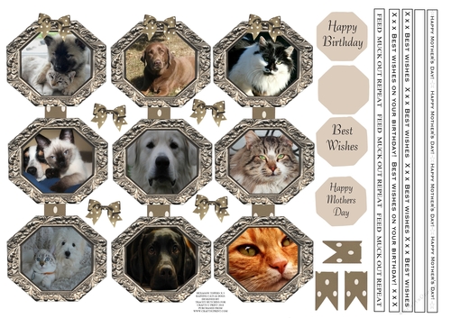RAINING CATS & DOGS TOPPERS X 3 WITH ANIMAL THEMED RIBBON SENTIMENTS