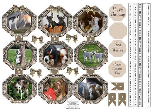 CATS DOGS & CUTIES TOPPERS X 3 WITH ANIMAL THEMED RIBBON SENTIMENTS