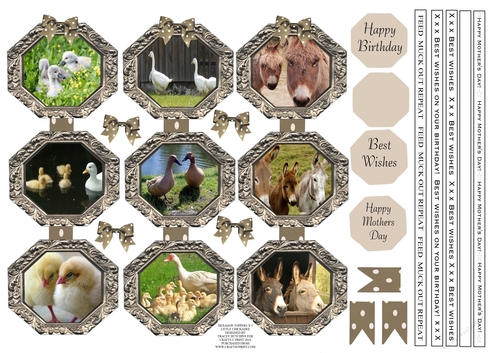 PETTING FARM (2) TOPPERS X 3 WITH ANIMAL THEMED RIBBON SENTIMENTS