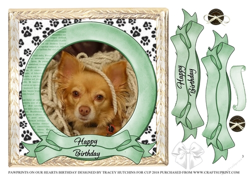 PAWPRINTS ON OUR HEARTS BIRTHDAY 3