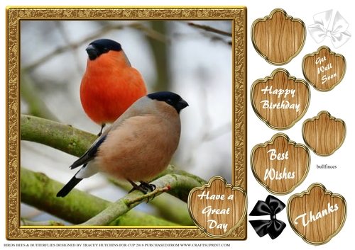 BIRDS BEES & BUTTERFLIES 1