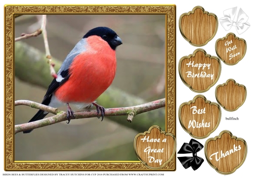 BIRDS BEES & BUTTERFLIES 2
