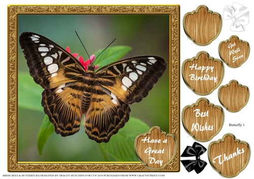 BIRDS BEES & BUTTERFLIES 3