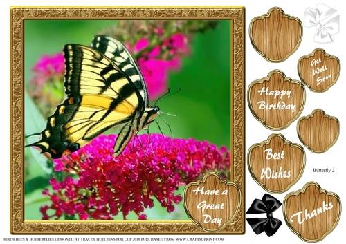BIRDS BEES & BUTTERFLIES 4