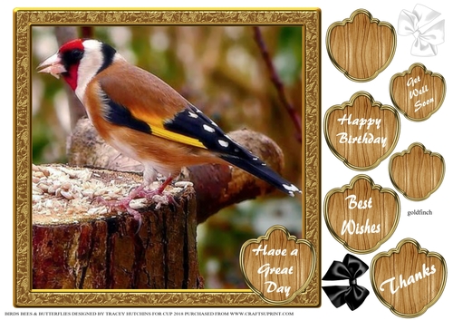 BIRDS BEES & BUTTERFLIES 6
