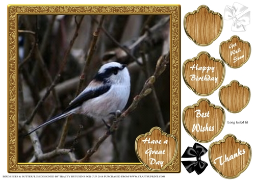 BIRDS BEES & BUTTERFLIES 7