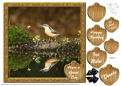 BIRDS BEES & BUTTERFLIES 8