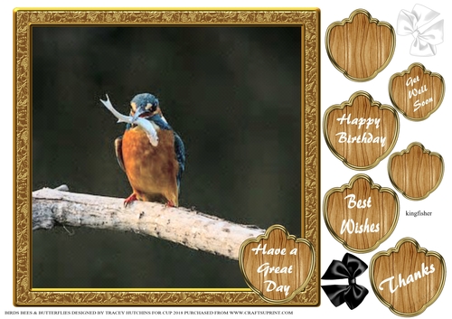BIRDS BEES & BUTTERFLIES 10