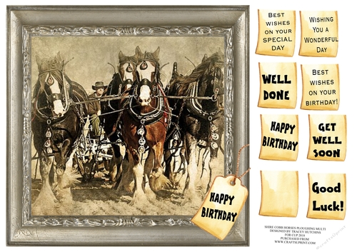 SHIRE COBB HORSES PLOUGHING MULTI SENTIMENT SHEET