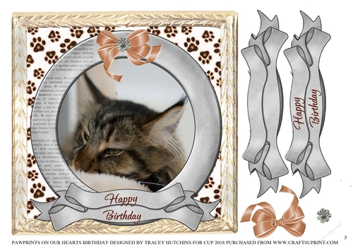PAWPRINTS ON OUR HEARTS BIRTHDAY 5