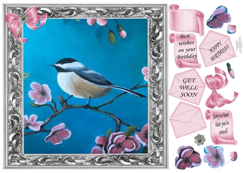 LONG TAILED TIT BIRTHDAY/GET WELL PICK AND MIX