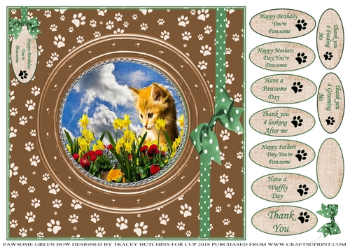 PAWSOME CATS AND DOGS GREEN BOW BIRTHDAY AND NUMEROUS OTHER SENTIMENTS 1