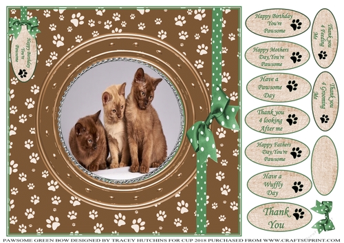 PAWSOME CATS AND DOGS GREEN BOW 2 