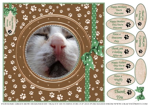PAWSOME CATS AND DOGS GREEN BOW 3