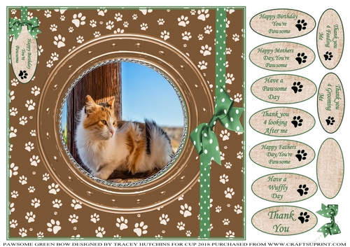PAWSOME CATS AND DOGS GREEN BOW 4