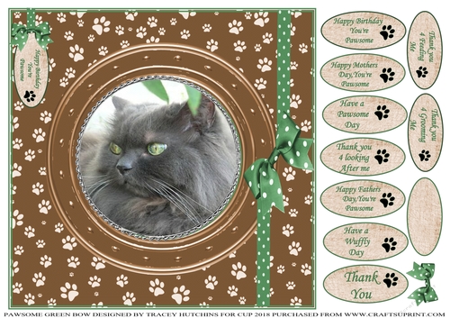 PAWSOME CATS AND DOGS GREEN BOW 5