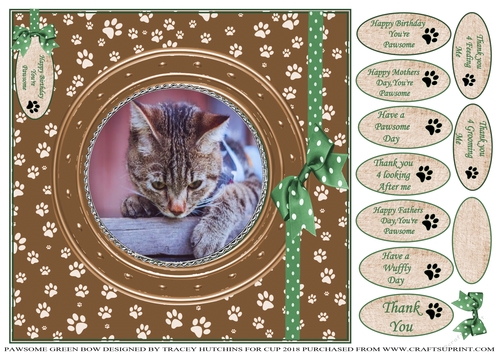 PAWSOME CATS AND DOGS GREEN BOW 6