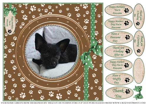 PAWSOME CATS AND DOGS GREEN BOW 7