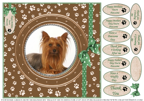 PAWSOME CATS AND DOGS GREEN BOW 8