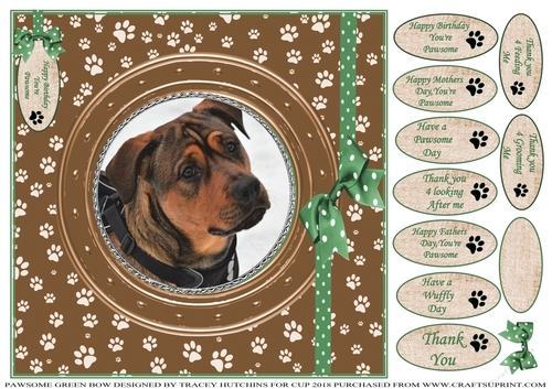 PAWSOME CATS AND DOGS GREEN BOW 9