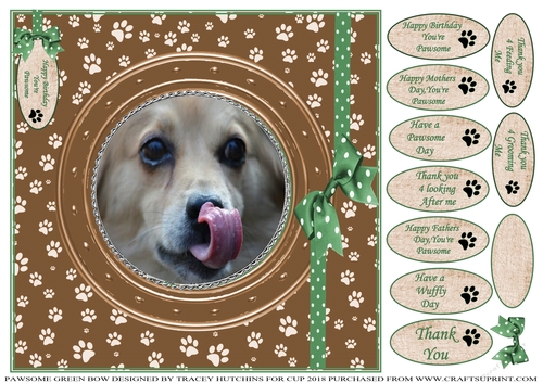 PAWSOME CATS AND DOGS GREEN BOW 10