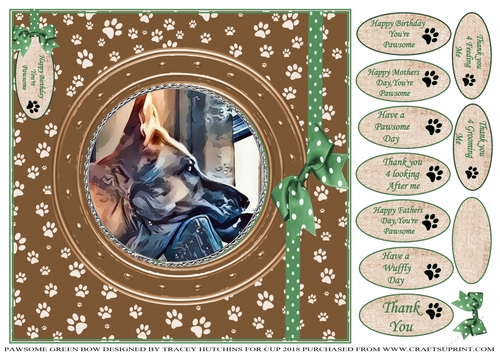 PAWSOME CATS AND DOGS GREEN BOW 11