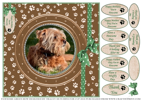 PAWSOME CATS AND DOGS GREEN BOW 12