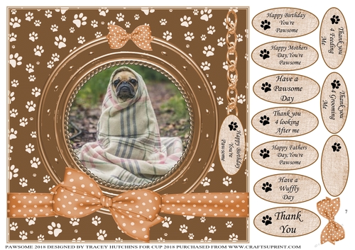 PAWSOME  ET PUG BIRTHDAY AND NUMEROUS OTHER SENTIMENTS