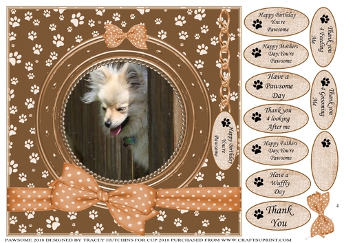 PAWSOME  BREATH IN BIRTHDAY AND NUMEROUS OTHER SENTIMENTS