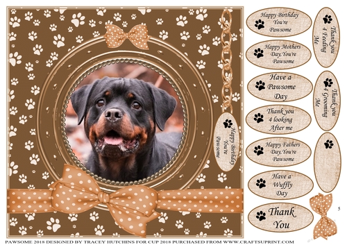 PAWSOME  SURPRISED FACE BIRTHDAY AND NUMEROUS OTHER SENTIMENTS