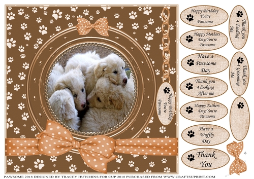PAWSOME  SHIFT OVER BIRTHDAY AND NUMEROUS OTHER SENTIMENTS