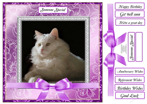 WAITING FOR MY HUMAN  MULTI SENTIMENTS CAT 1
