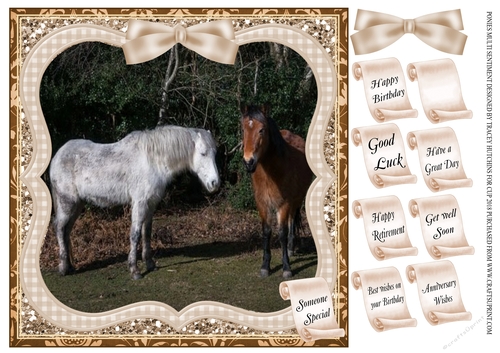 PONIES / HORSES  MULTI SENTIMENTS PONIES / HORSES