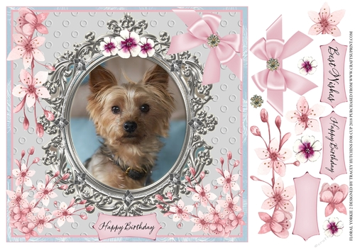 FLORAL YORKIE 2