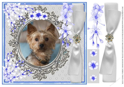 BLUE FLORAL YORKIE 1