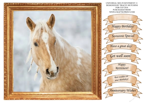 PALAMINO HORSE UNIVERSAL WITH WIDE SELECTION OF SENTIMENTS