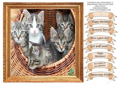 KITTENS TO GO UNIVERSAL WITH WIDE SELECTION OF SENTIMENTS