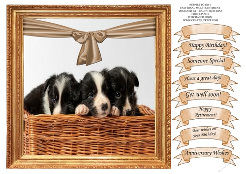 PUPPIES TO GO 1 UNIVERSAL WITH WIDE SELECTION OF SENTIMENTS