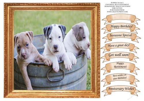 PUPPIES TO GO 2 UNIVERSAL WITH WIDE SELECTION OF SENTIMENTS