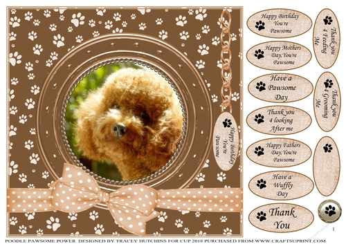 POODLE PAWSOME POWER 1 BIRTHDAY AND NUMEROUS OTHER SENTIMENTS