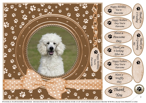 POODLE PAWSOME POWER 2 BIRTHDAY AND NUMEROUS OTHER SENTIMENTS