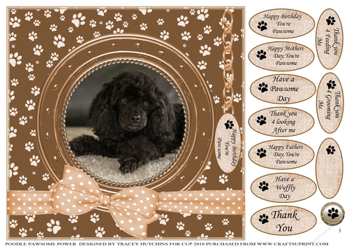 POODLE PAWSOME POWER 3 BIRTHDAY AND NUMEROUS OTHER SENTIMENTS